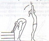 تمرين